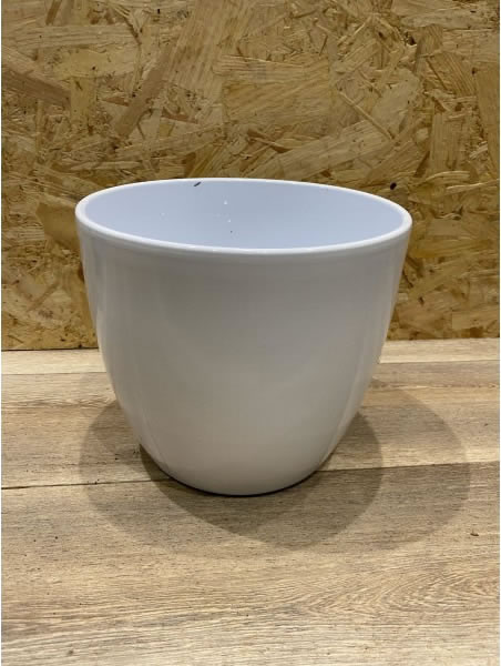 21cm White Ceramic Pot The Greenery   78plant 1604415637 